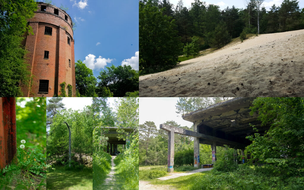 Collage Paar Challenge Ausflug Geesthacht: Ruinen Dynamitfabrik alter Wasserturm und Pulverfabrik Wald